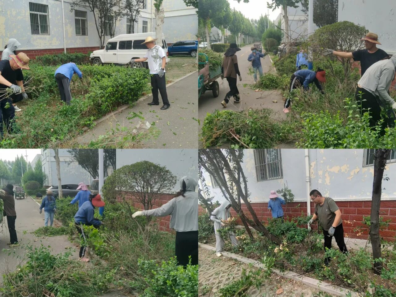 【魯南電商】共建美麗園區(qū)，我們在行動！