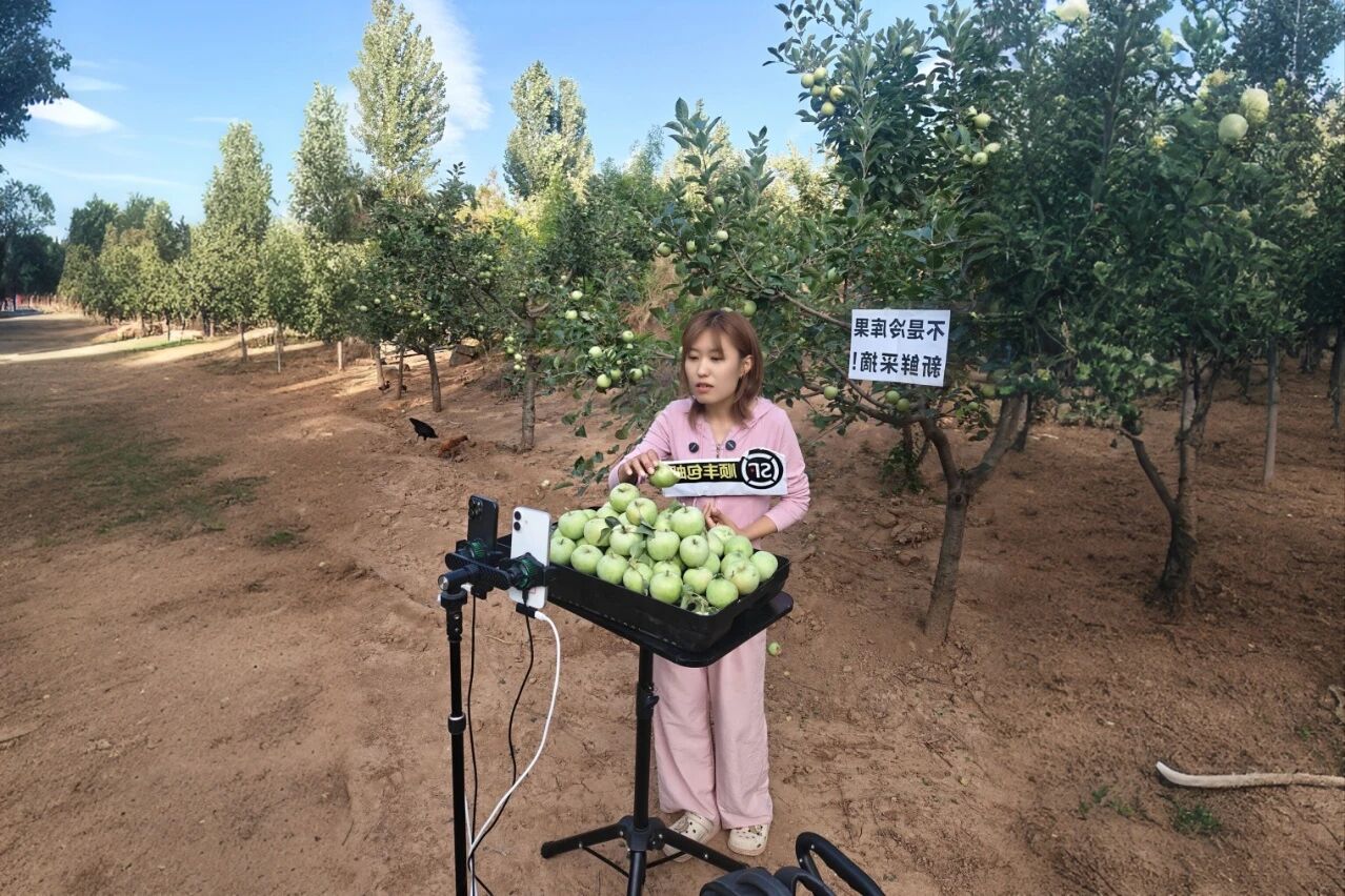 決戰(zhàn)四季度，圣家樂購雙十一全域發(fā)力促增長2