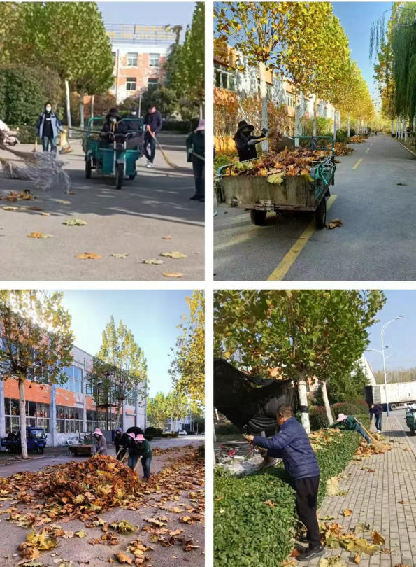 對(duì)標(biāo)先進(jìn)促提升 積極進(jìn)取謀發(fā)展—魯南電商產(chǎn)業(yè)園扎實(shí)推進(jìn)四季度工作4